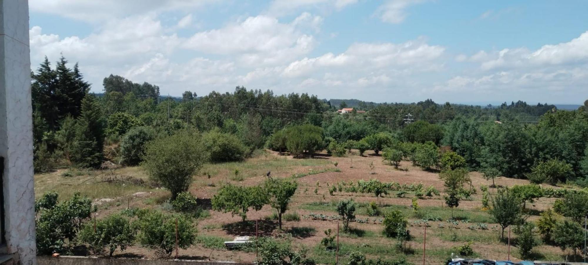 Majo Alojamento Local Bed & Breakfast ตาบัว ห้อง รูปภาพ